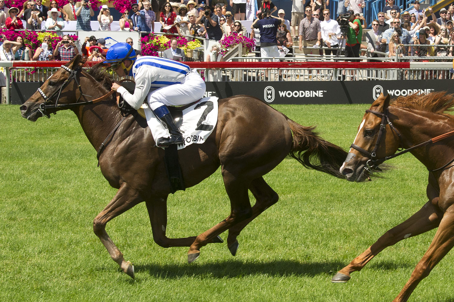 Ricoh Woodbine Mile notes for Friday, Sept. 6, 2019