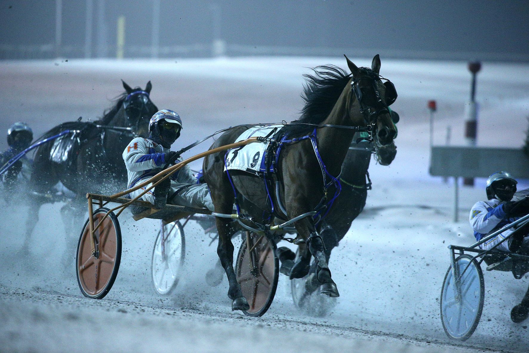 Melissa Keith’s Rideau Carleton Raceway Selections: Sunday, December 26, 2021