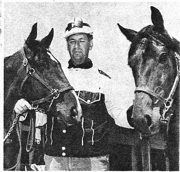 Veteran driver Jack Herbert of London appears with a couple of stable members.