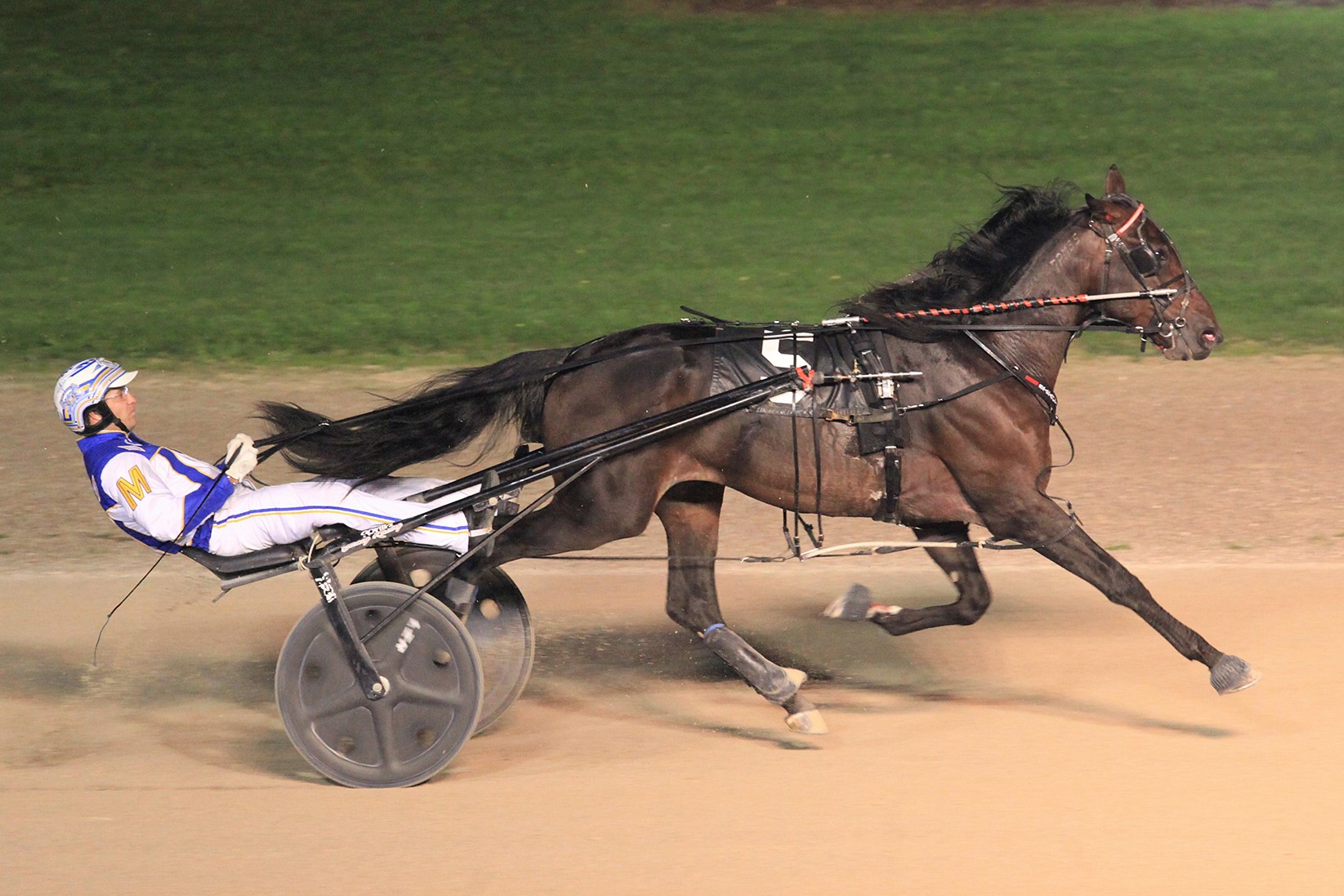 Royale Elite lands his fourth Grassroots win at Grand River