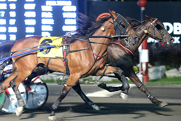 Stars align for Logan Park in Gold Series victory