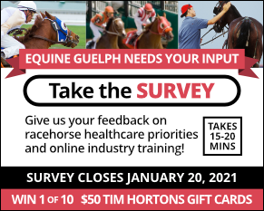 Have Your Say! Ontario Horse Racing Industry Survey