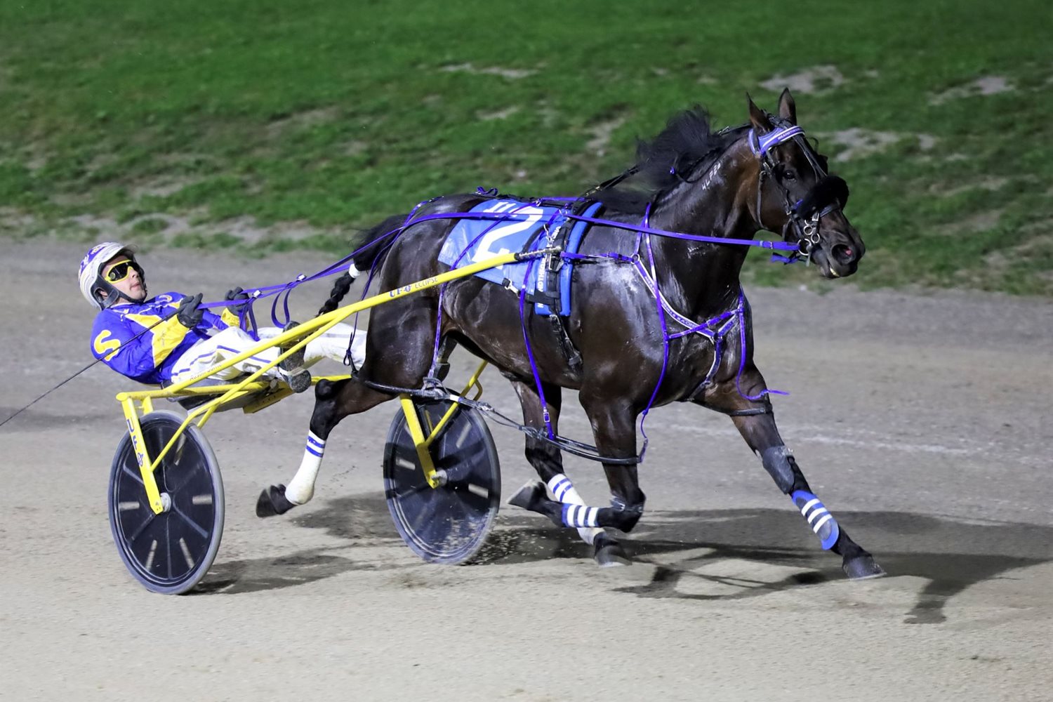 Garnet Barnsdale’s The Raceway at the Western Fair District Selections: Monday, November 8, 2021