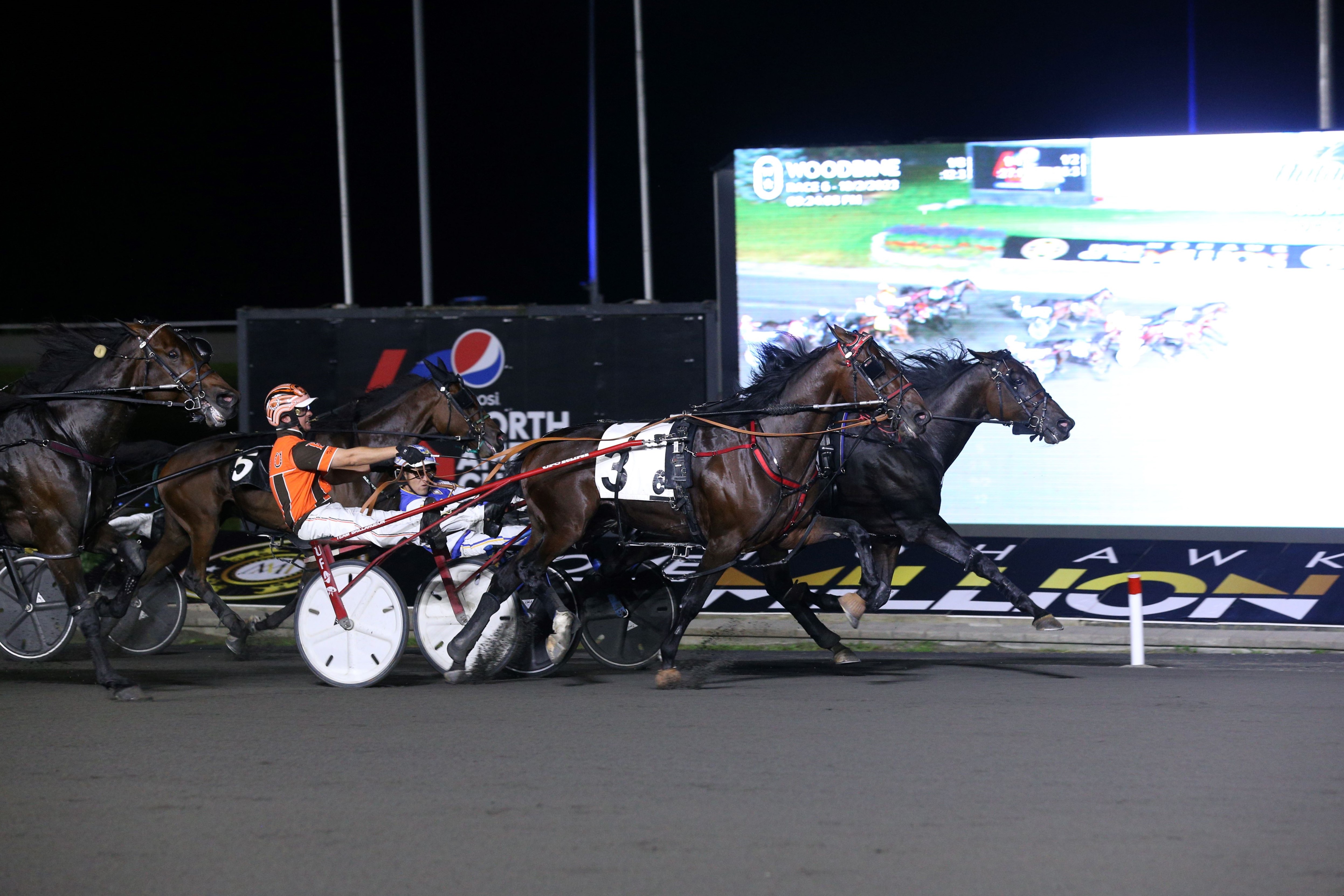 Hasty Bid at Woodbine Mohawk Park on October 2, 2023 (New Image Media).