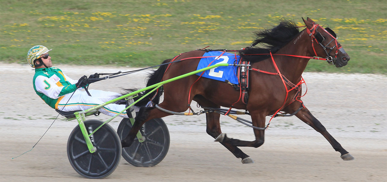 Michael Carter’s Grand River Selections: Wednesday, August 12, 2020