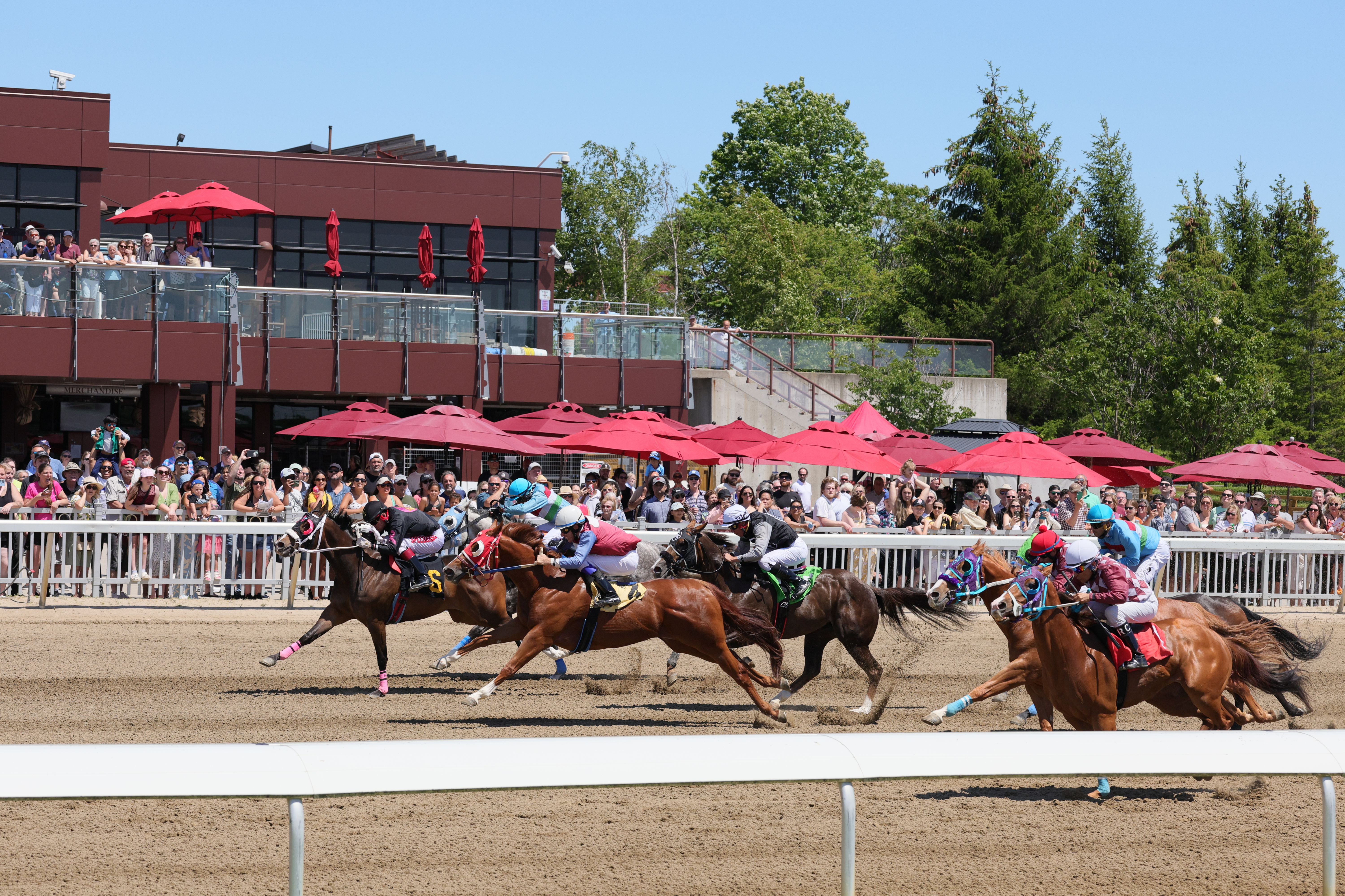 Ontario’s Quarter Horse industry details allocation of $500,000 in new funding