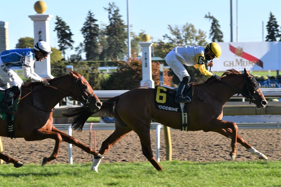 Jennifer Morrison’s Woodbine Thoroughbred Selections: Sunday, October 18, 2020