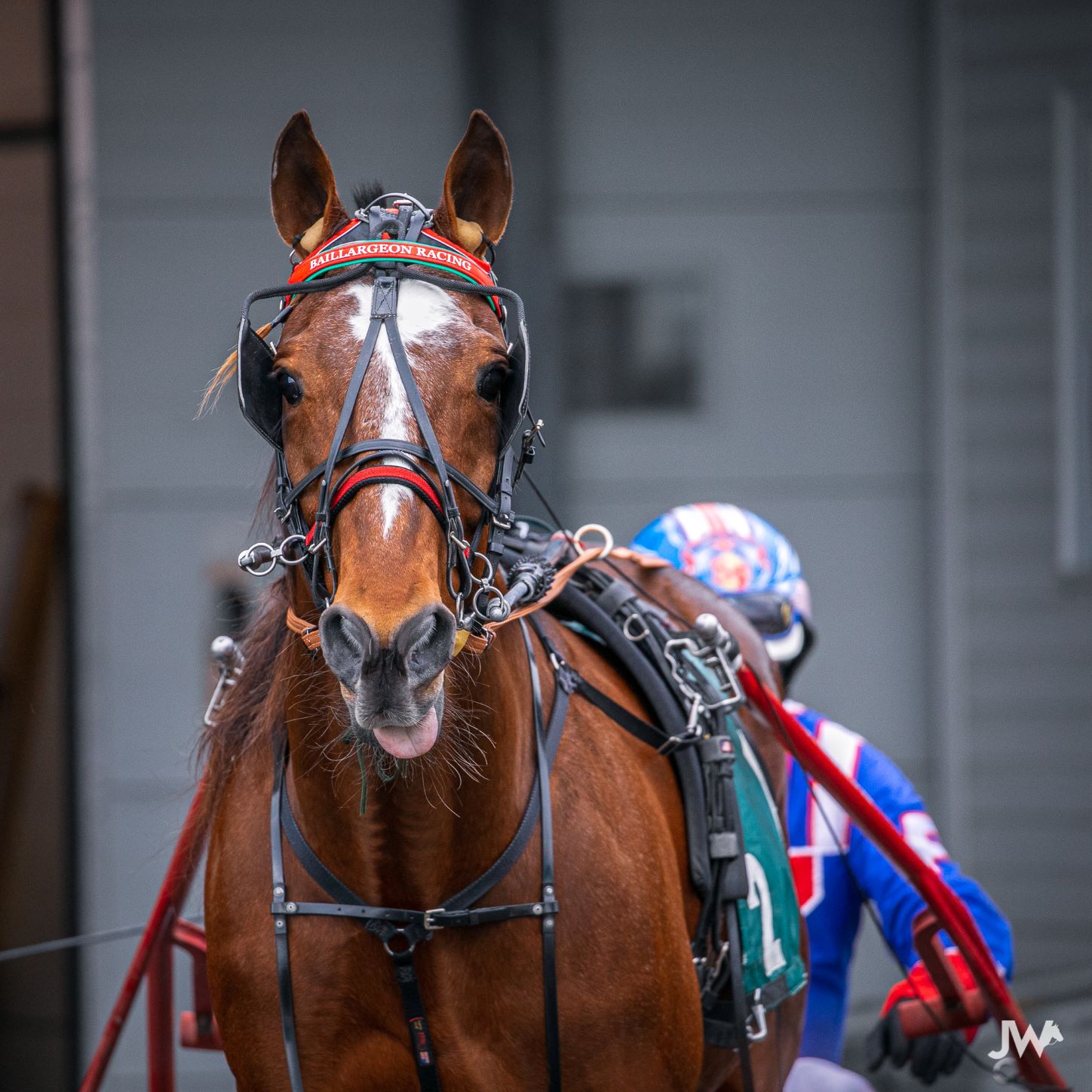 Garnet Barnsdale’s The Raceway at the Western Fair District Selections: Monday, January 3, 2022