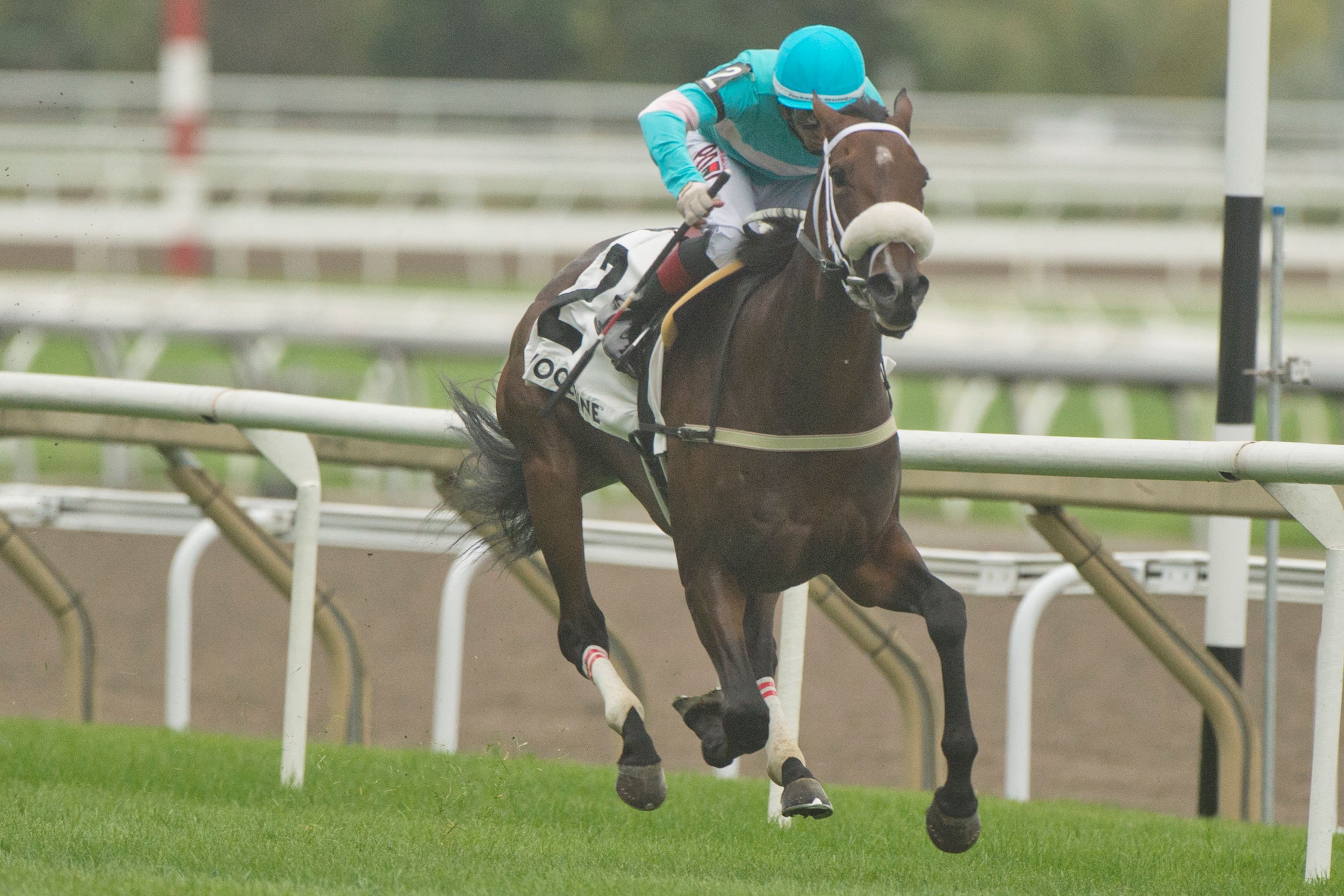 Moira Remains Dominant in Canadian Stakes G2 Score