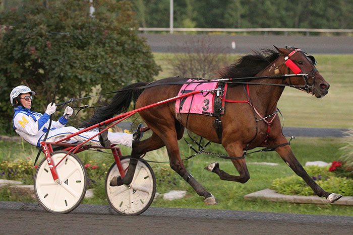 Rubys Are Nice sparkles in Grassroots victory