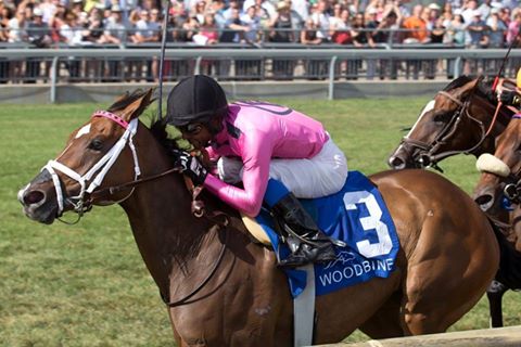 HANDICAPPING TURF RACES
