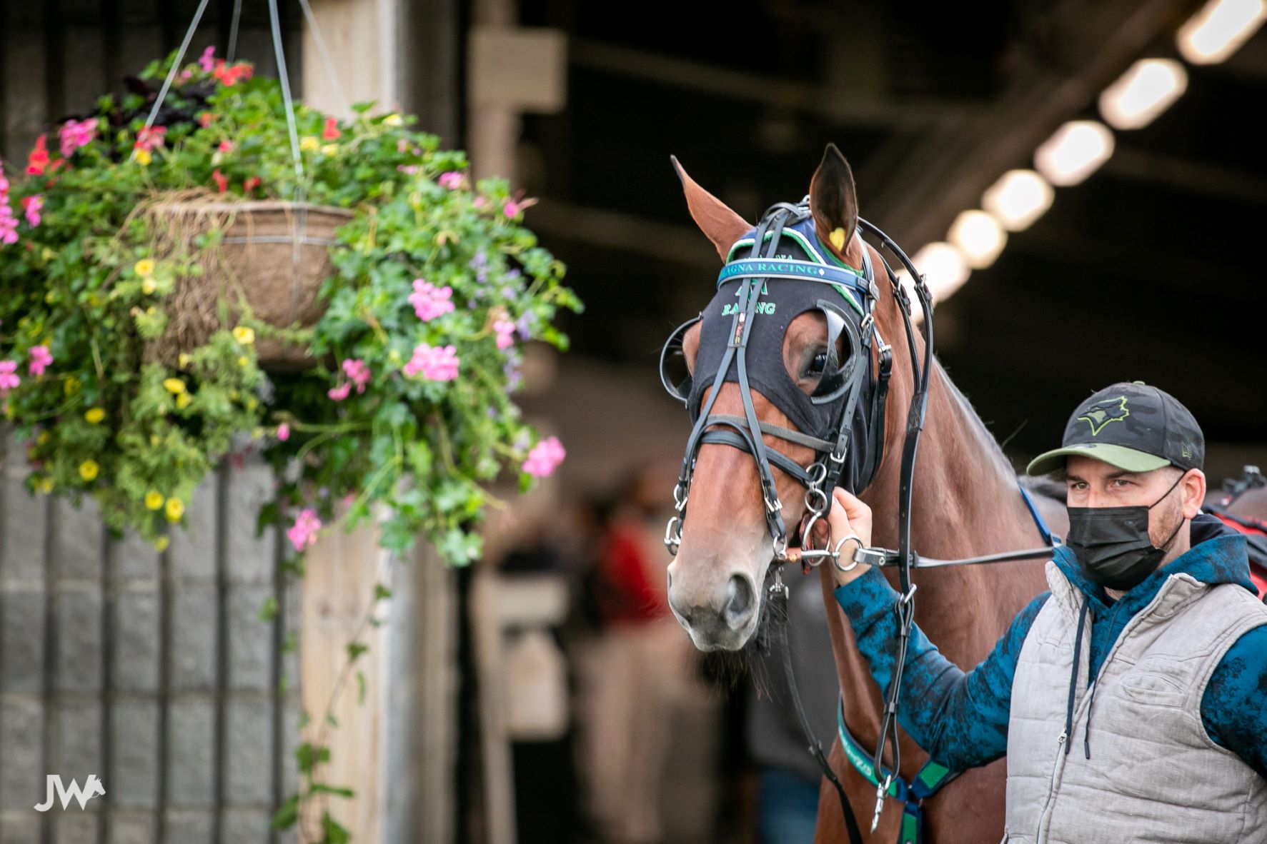 Michael Carter’s Flamboro Downs Selections: Saturday, November 20, 2021