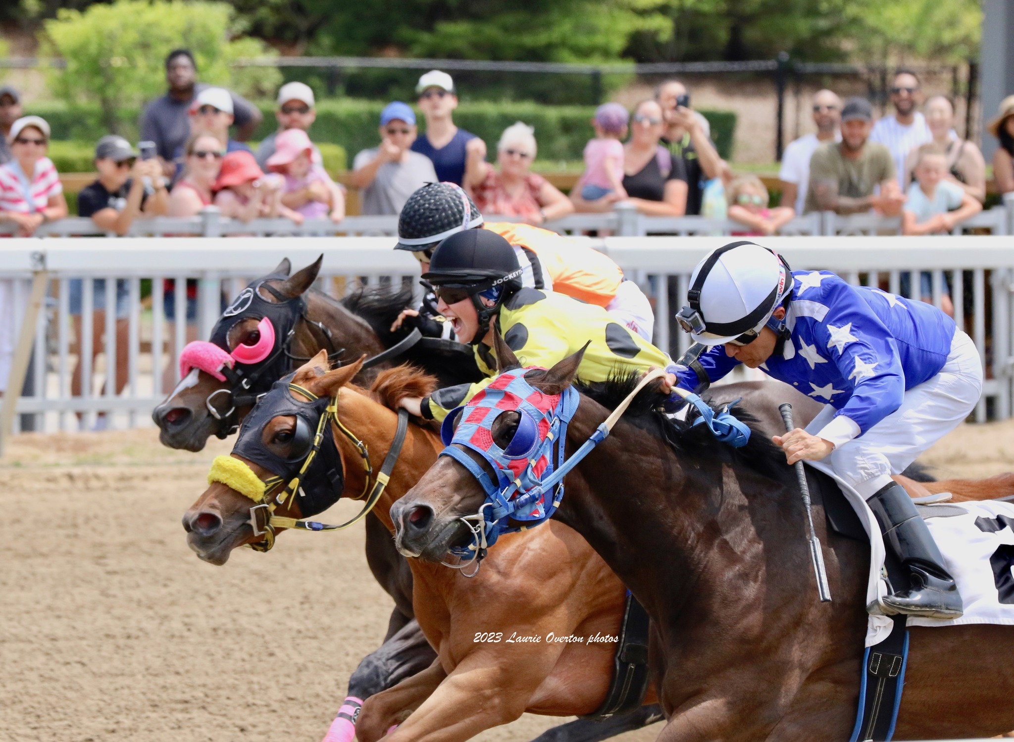Big Fields for Halfway Mark of Ajax Downs Season July 26
