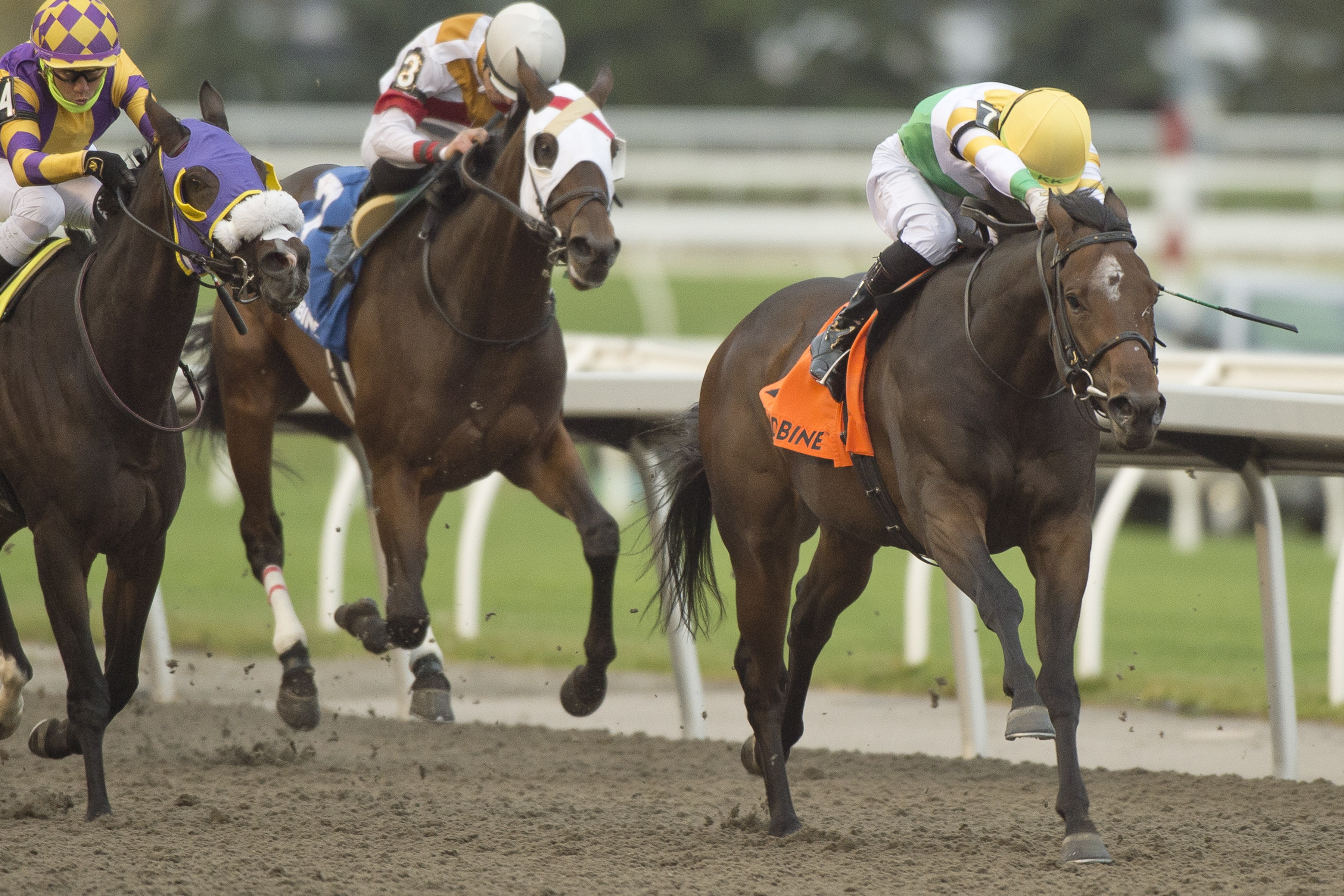 Touch’n Ride Elevated to First in G3 Ontario Derby
