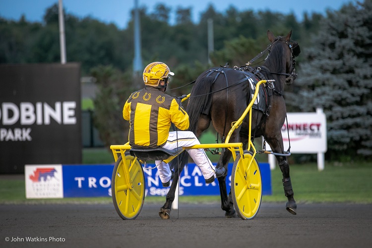 Woodbine Mohawk Park to resume live racing tonight
