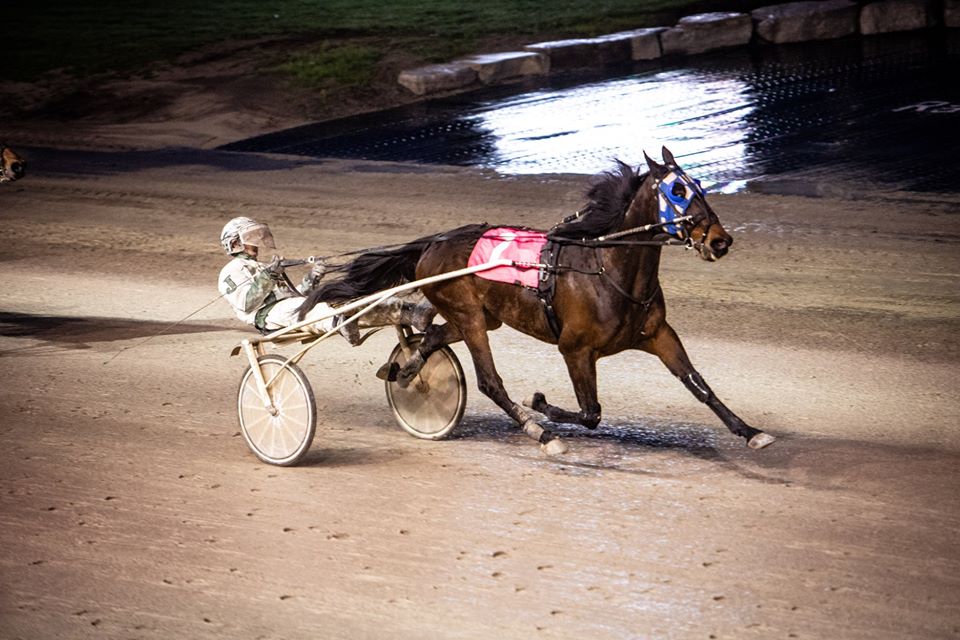Michael Carter’s Western Fair Selections: Wednesday, November 18, 2020