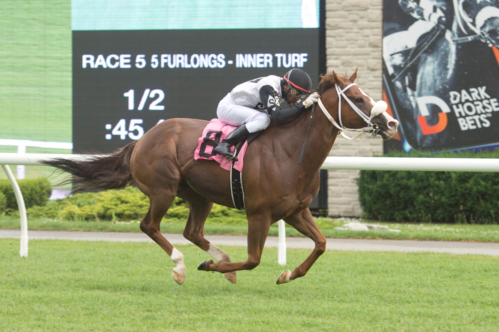 Aim for the Sky and jockey Rico Walcott winning Race 5 on July 6, 2023 at Woodbine (Michael Burns Photo).