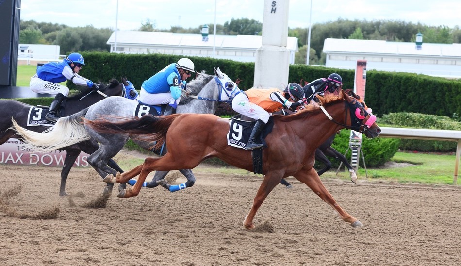 Busy Thanksgiving Monday at Ajax Downs