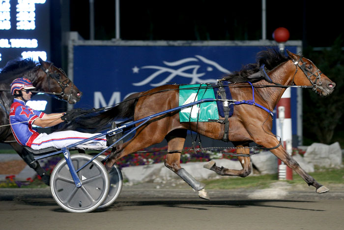 Connections hope local edge separates Grassroots trotters