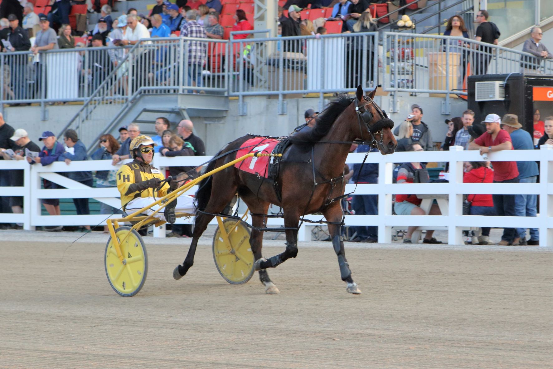 Garnet Barnsdale’s The Raceway at the Western Fair District Selections: Monday, October 11, 2021