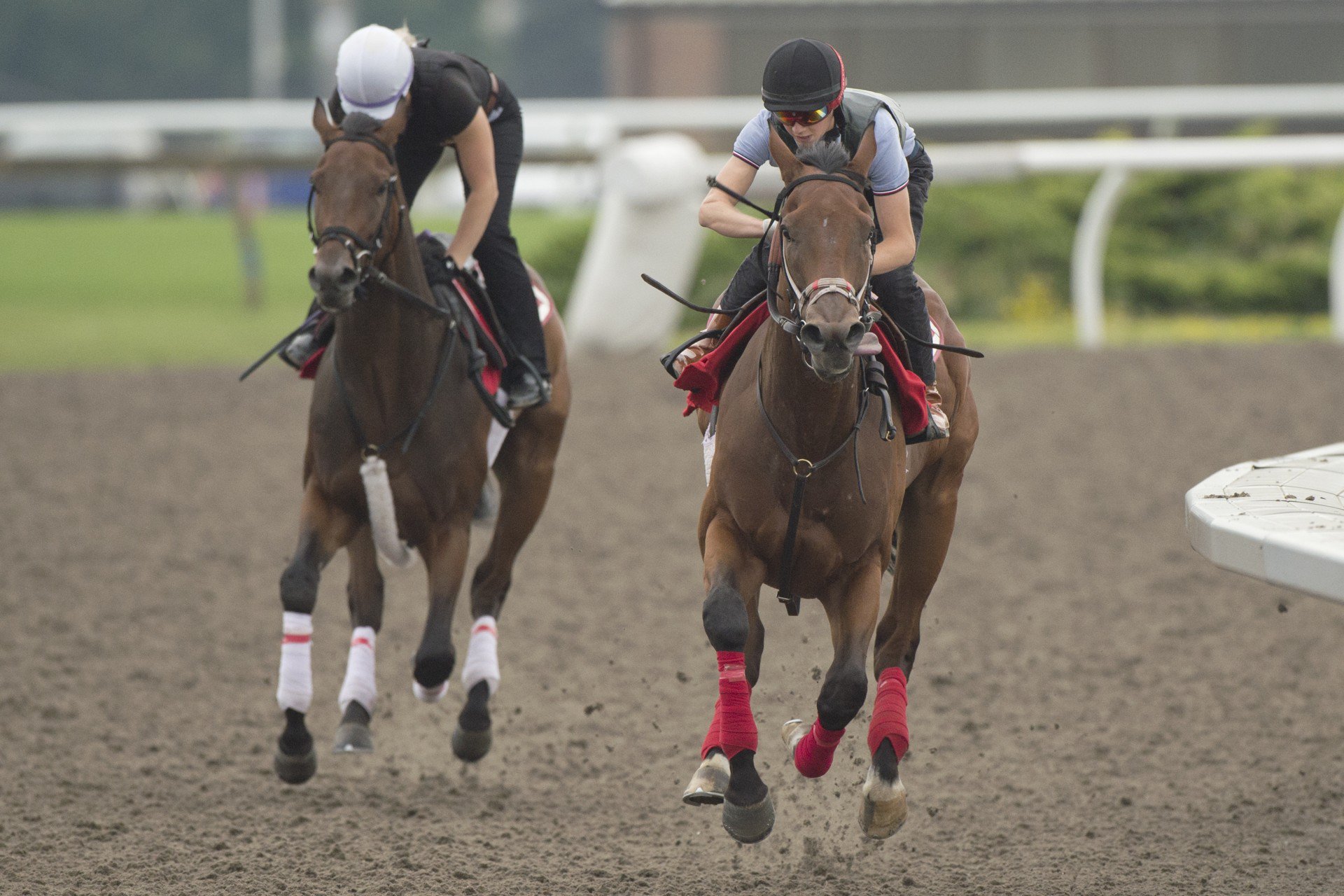 Jokestar in training. (Michael Burns Photo)