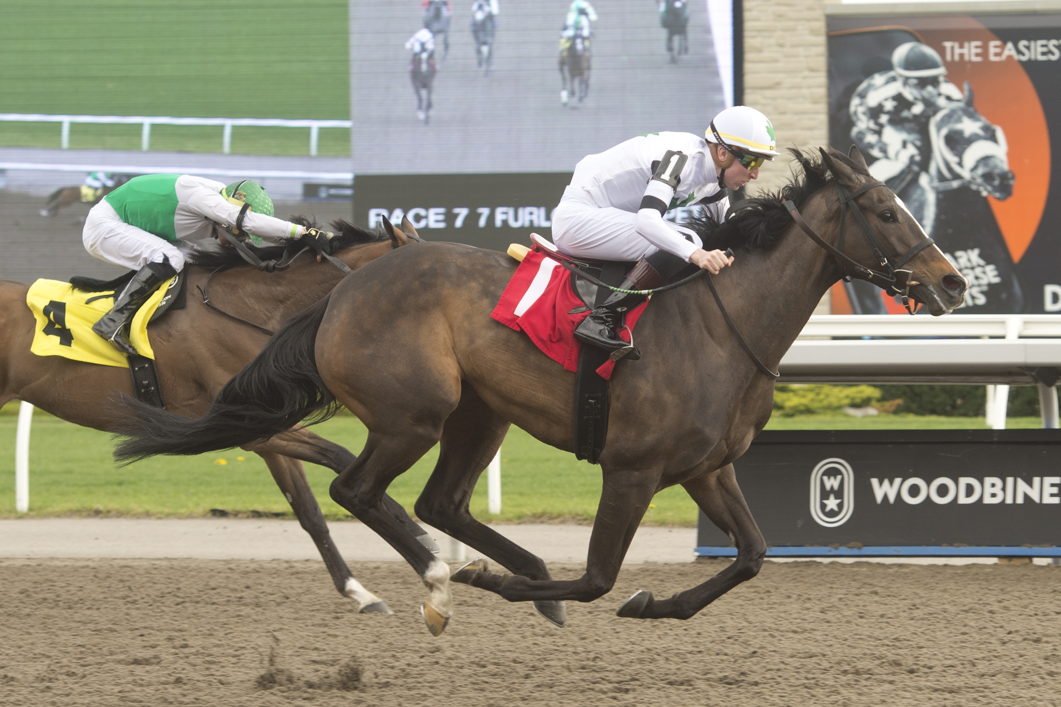 Ultra-consistent Millie Girl Takes on 11 in G3 Ontario Matron