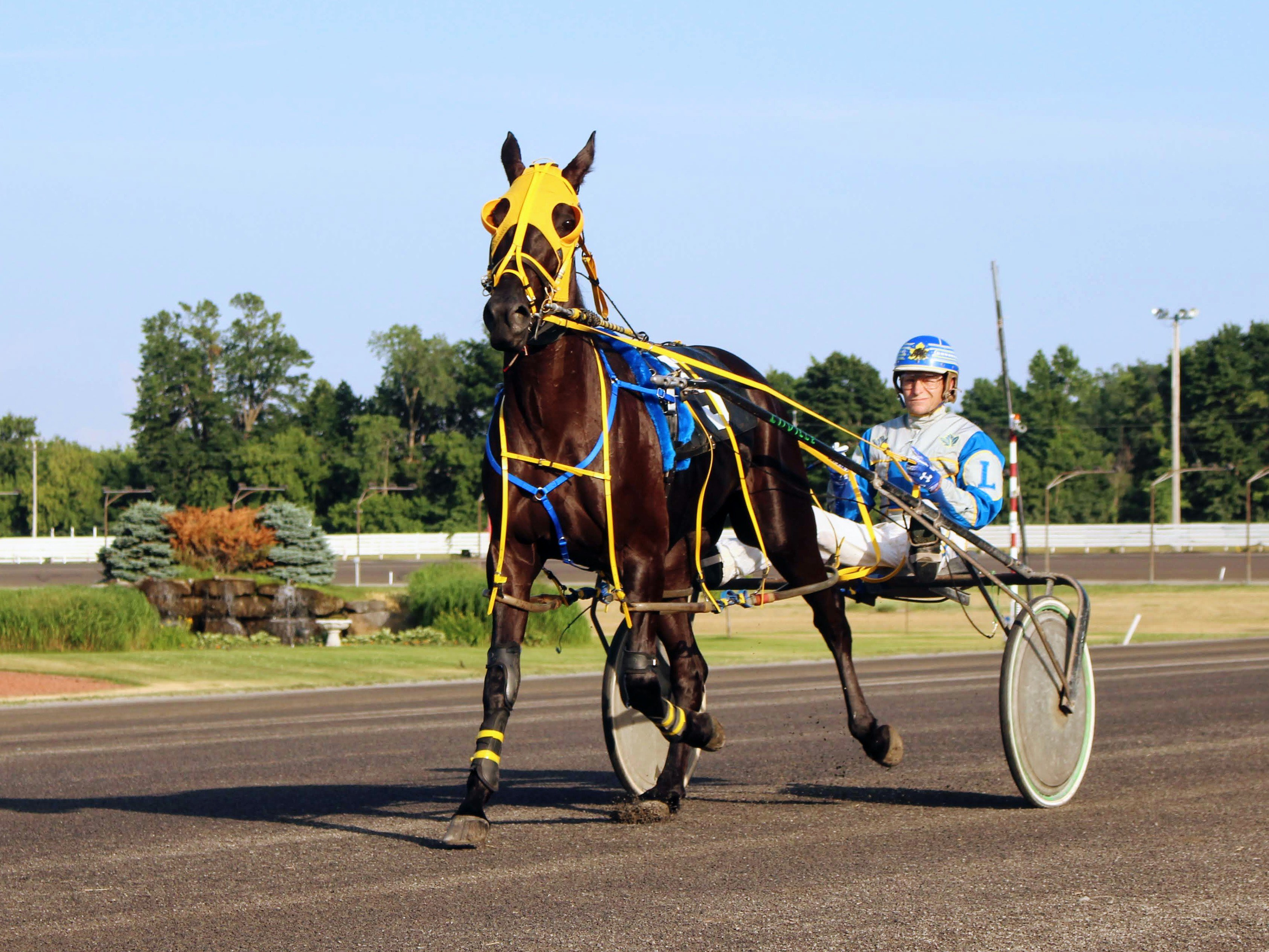 Melissa Keith’s Rideau Carleton Raceway Selections: Thursday, August 13, 2020