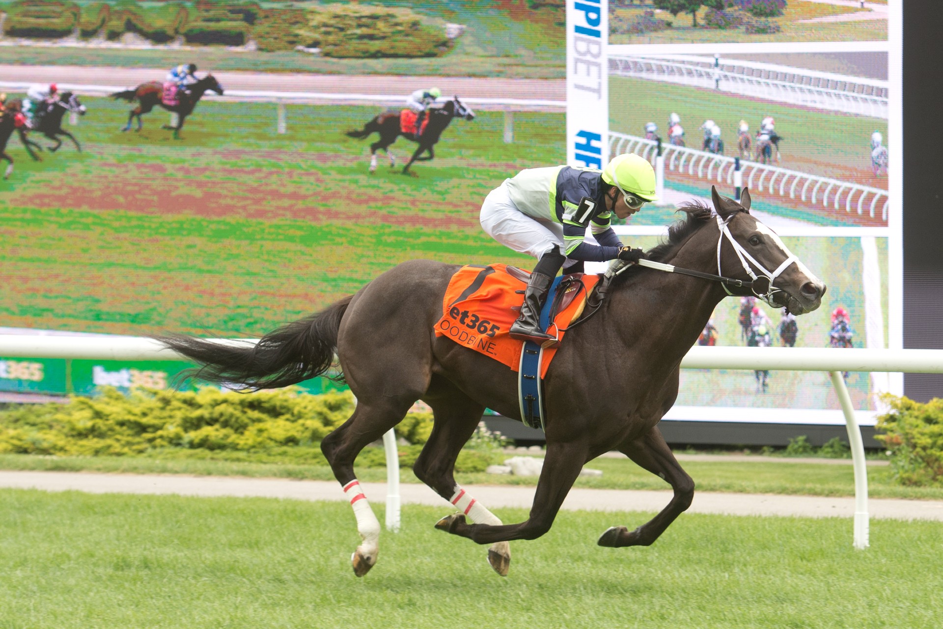 Live Lucky rolls into Lake Superior in winning form
