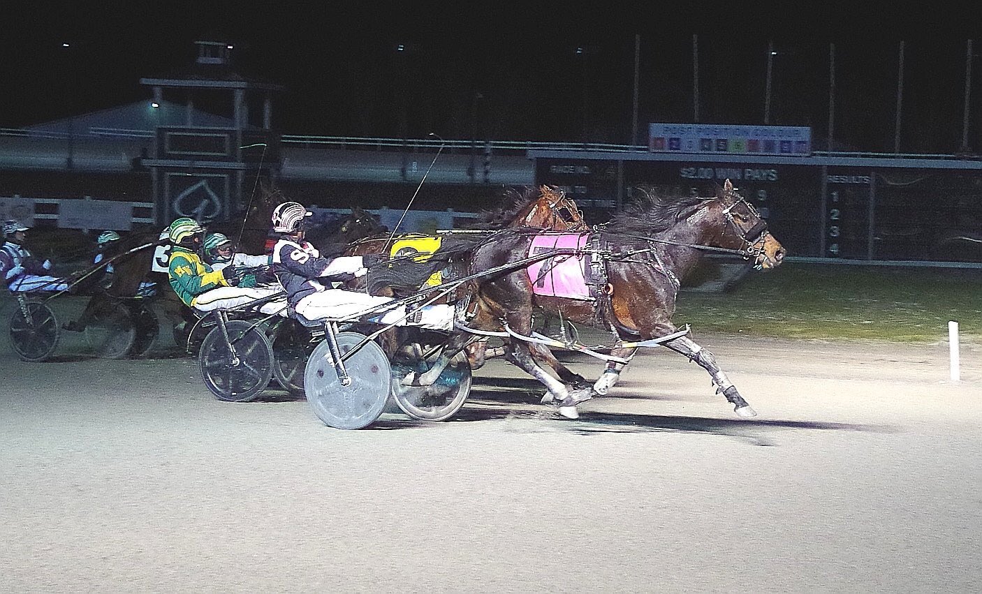 Garnet Barnsdale’s Flamboro Raceway Selections: Saturday, November 21, 2020