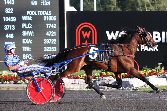 Warrawee Vicky gets third straight in Gold Series debut