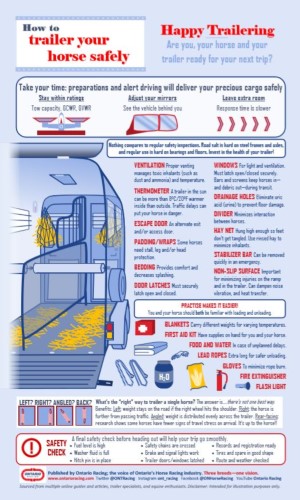 Infographic: Horse Trailering Safety