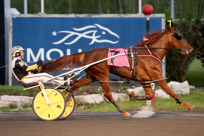 Gottalovemyshadow firing on all eight cylinders in Grassroots debut