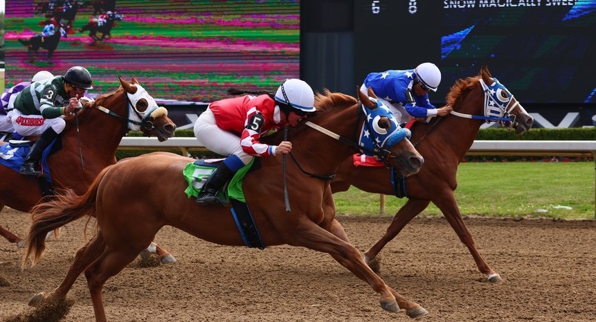 Speed Indexes a measurement to watch heading into Open Derby at Ajax Downs