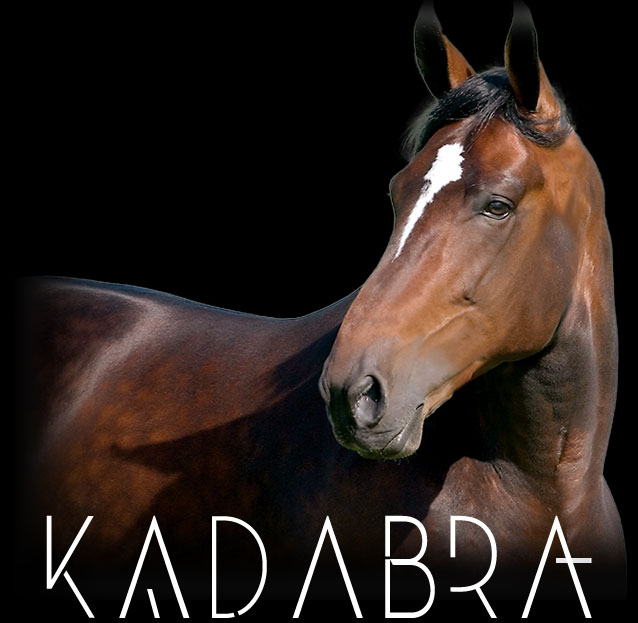 Ontario Sires Stakes Stallion Spotlight: Kadabra