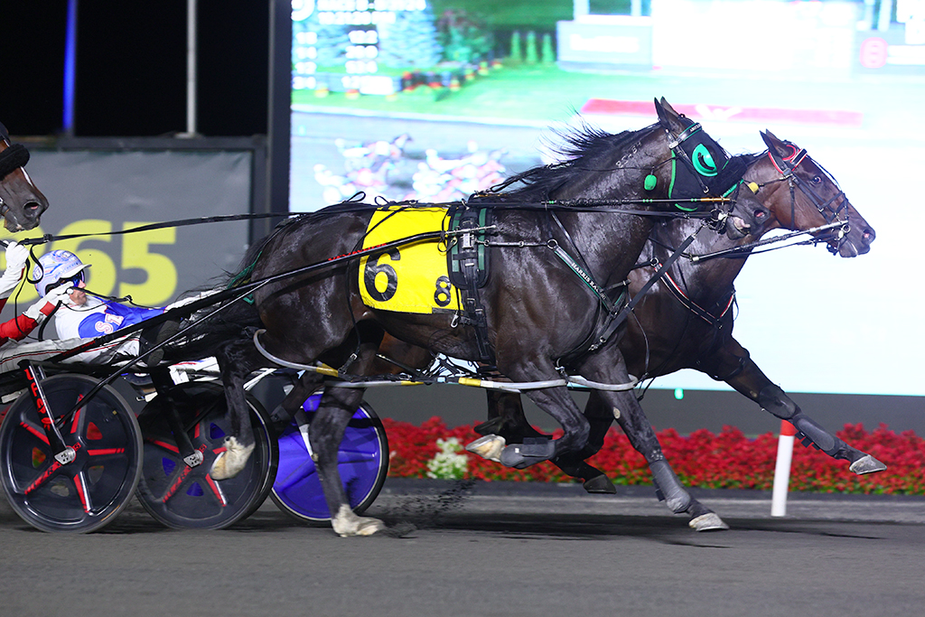 Showtime! Its My Show stellar in Canadian Pacing Derby