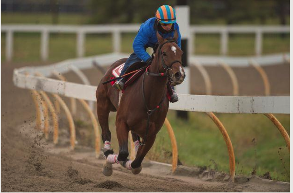 Despite racing in 2020, COVID-19 pandemic dealt Woodbine Entertainment economic blow