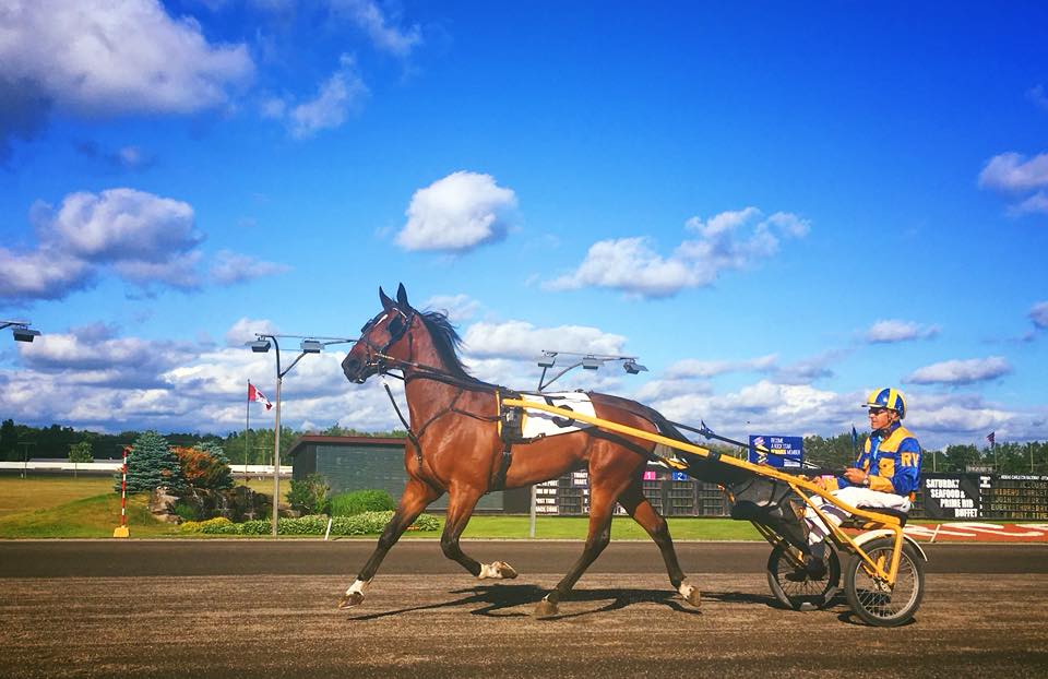 Melissa Keith’s Rideau Carleton Selections: Sunday, July 18, 2021