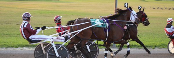 Garnet Barnsdale’s Rideau Carleton Raceway Selections: Sunday, November 10, 2019