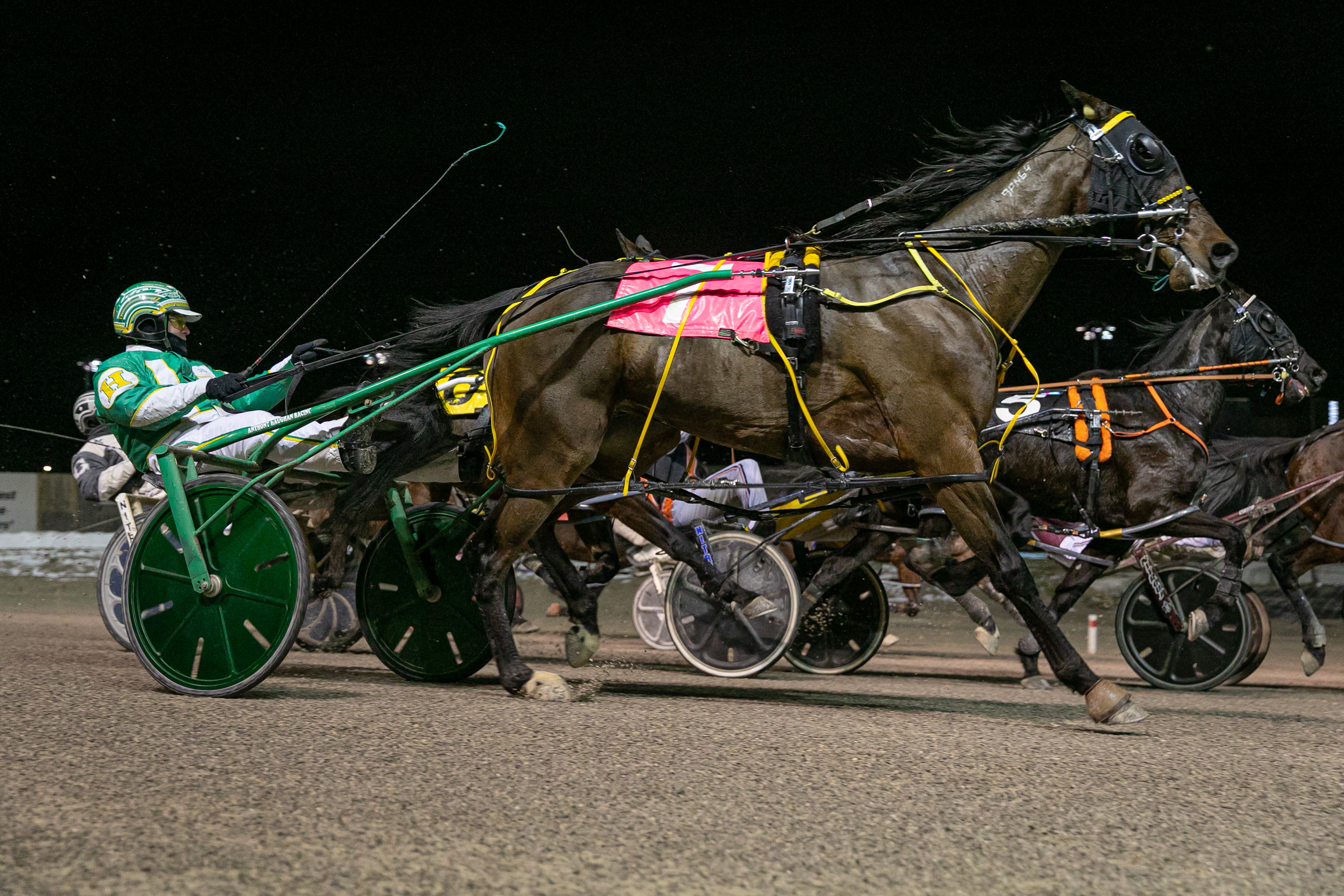 Michael Carter’s Western Fair Selections for Friday, February 19, 2021