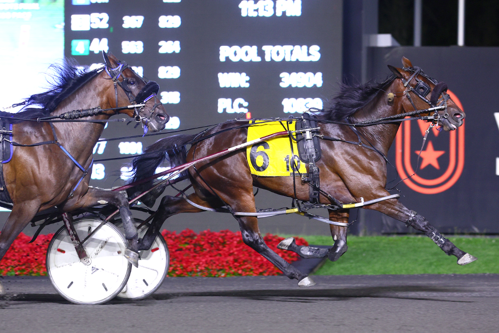 Century Komodo resolute in three-year-old pacing colts Grassroots triumph