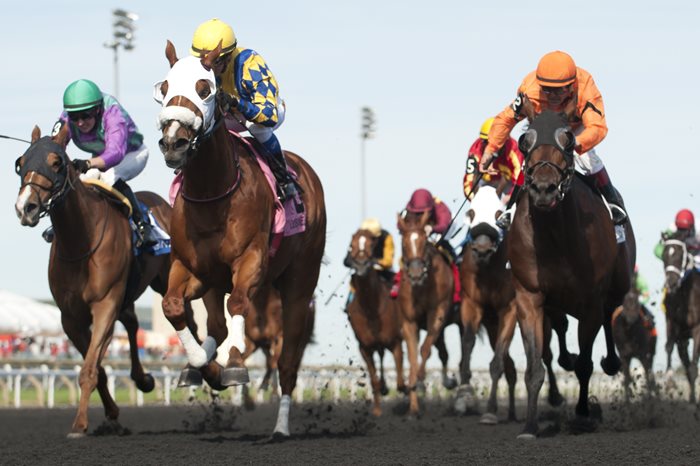 OLG Administers Funding for Horse Racing Industry