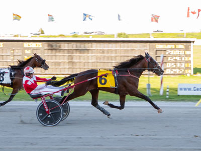 Horse Trader impresses Grant with Grassroots win