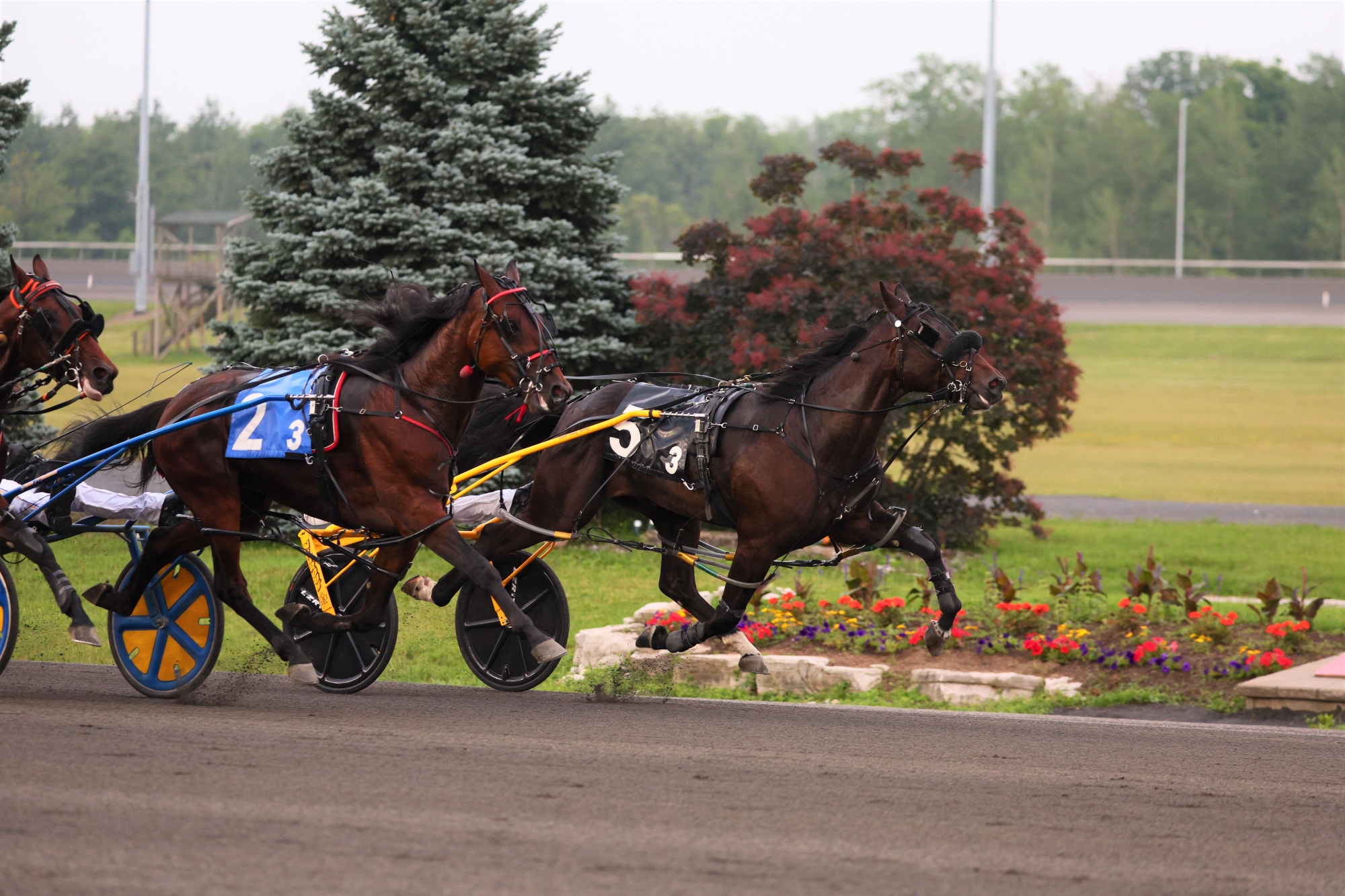 OSS Canada Day Weekend Recap