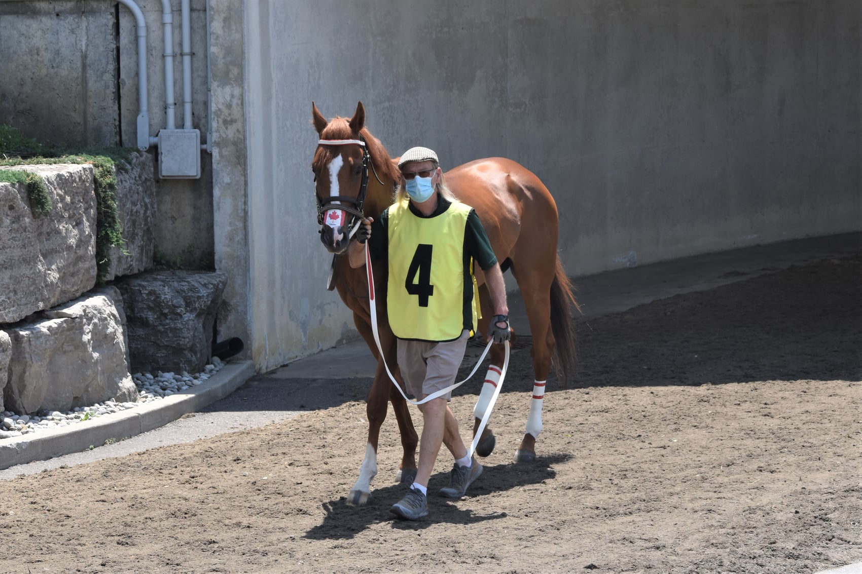 Jennifer Morrison’s Woodbine Thoroughbred Selections: Friday, June 25, 2021