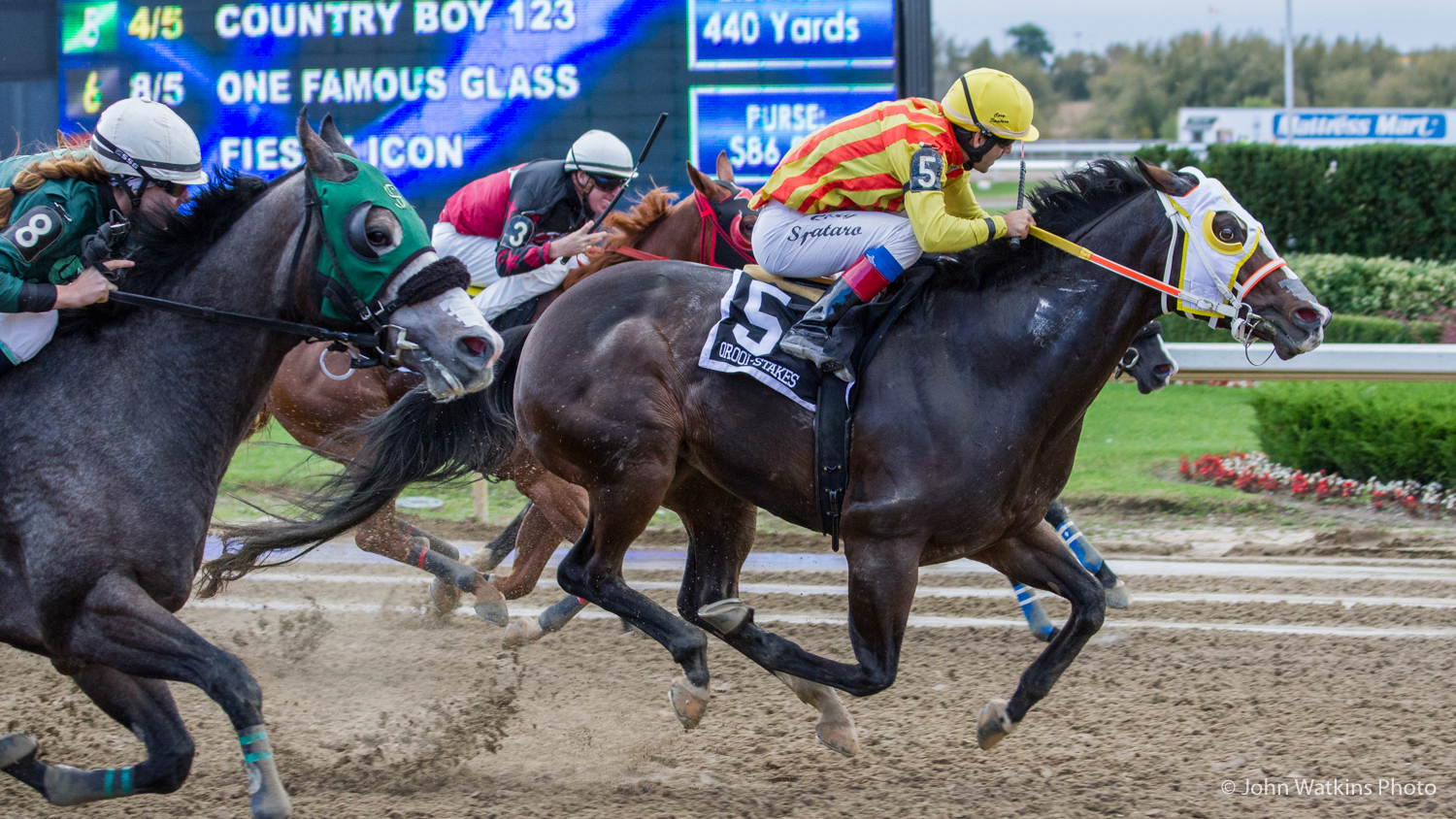 Father's Day at Ajax Downs; Champion horses on big 9-race card