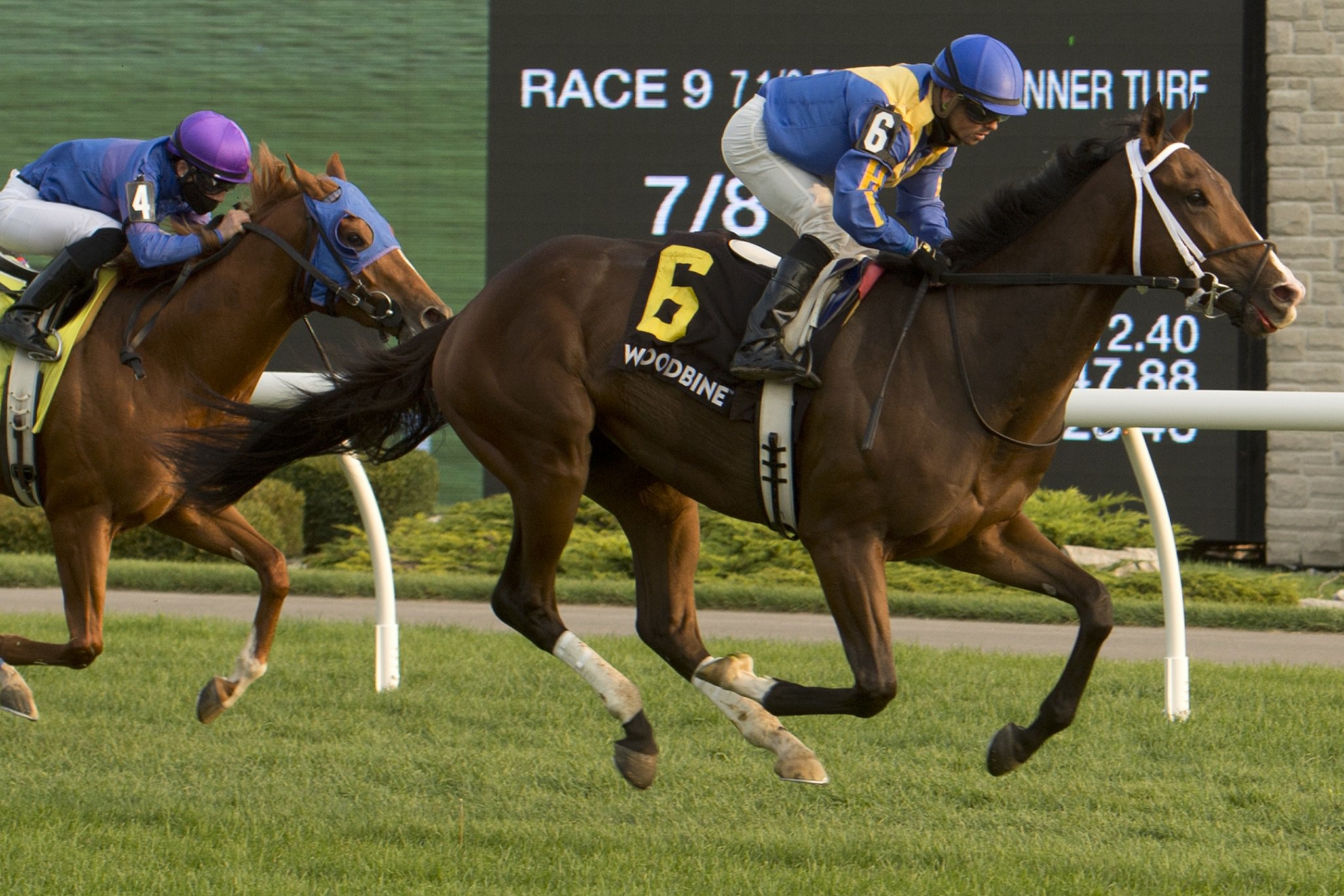 $100,000 Frost King Stakes Rescheduled For This Friday During Racing Night Live