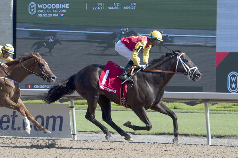 FEATURE: Born To Be A Breeder