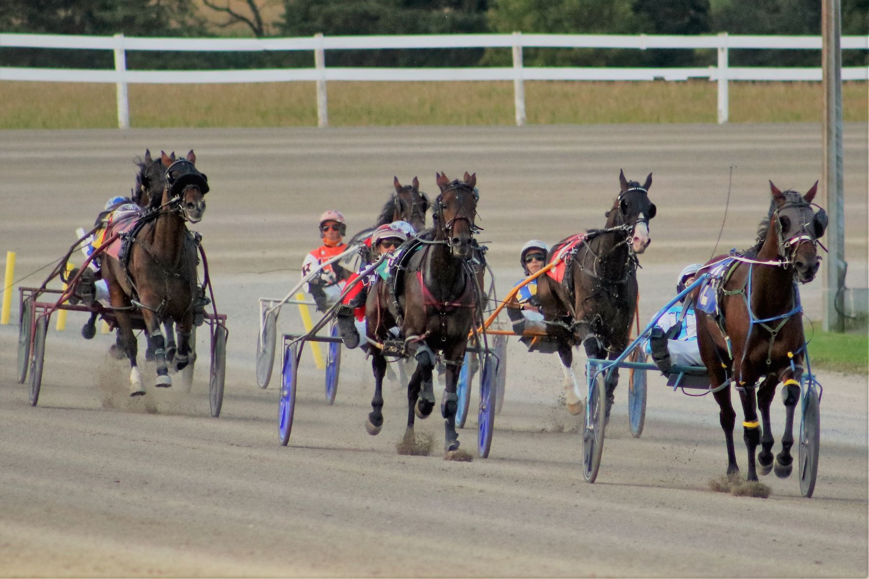 Garnet Barnsdale’s Flamboro Downs Selections: Sunday, November 28, 2021