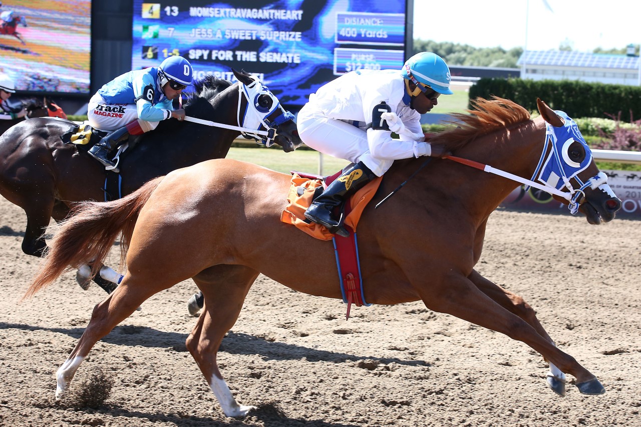 Picov Derby Headlines Huge Day Of Racing Monday At Ajax