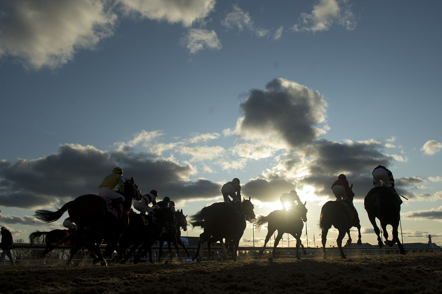 Woodbine Racetrack To Close Season With Biggest Race Card In Its History